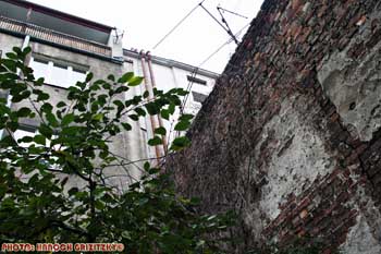 IMG_ (10431)